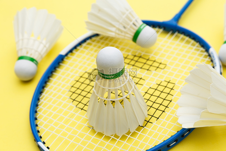 赛程节律匹 赛程节律匹